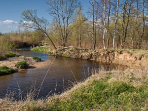 Dobrovolníci budou uklízet přírodní rezervaci Meandry Smědé. Přidat se může každý